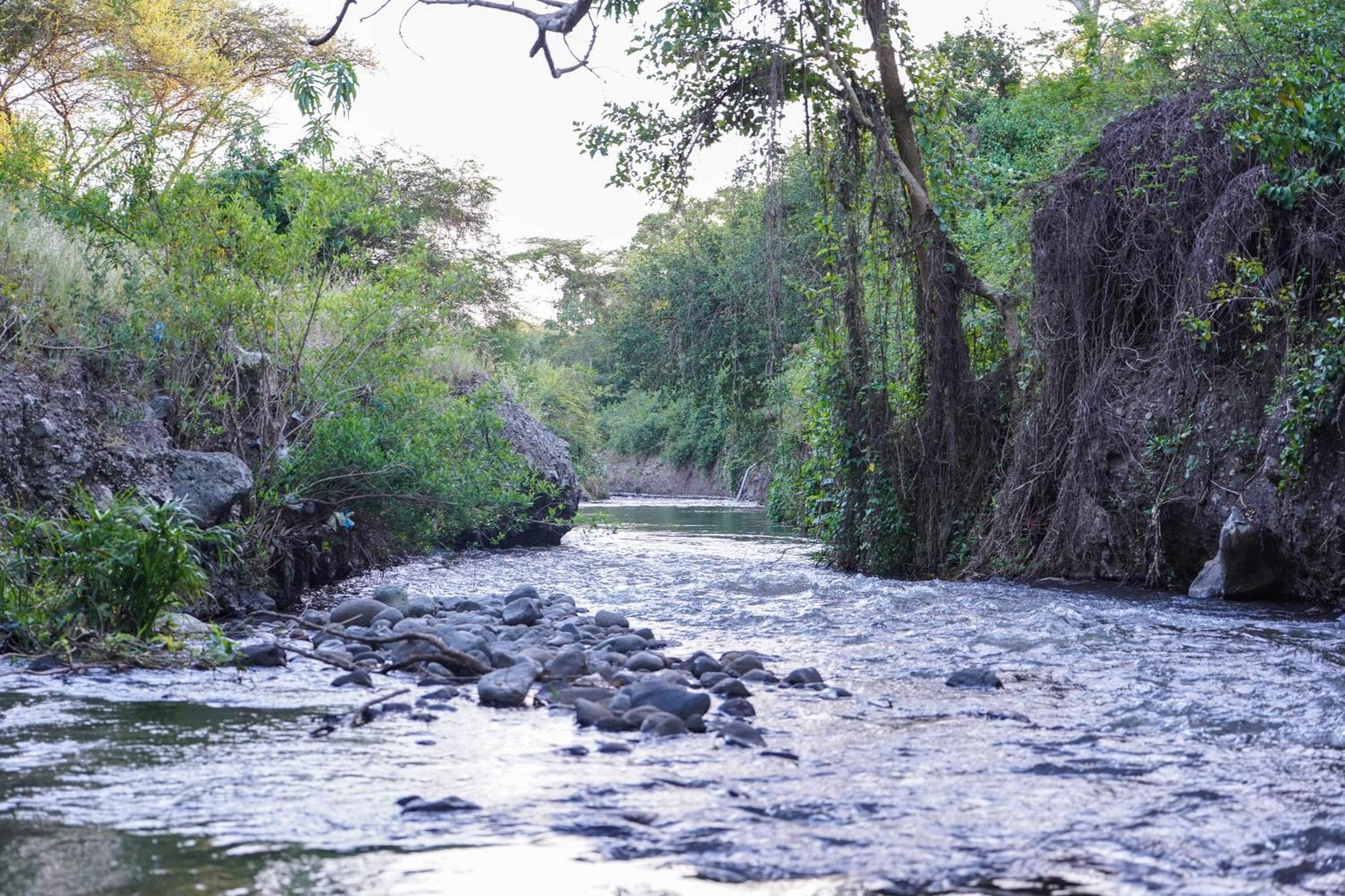 Kili Seasons Hotel Arusha Luaran gambar